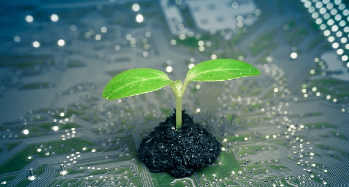 Plant Sciences The S. Wise Faculty of Life Sciences Tel Aviv